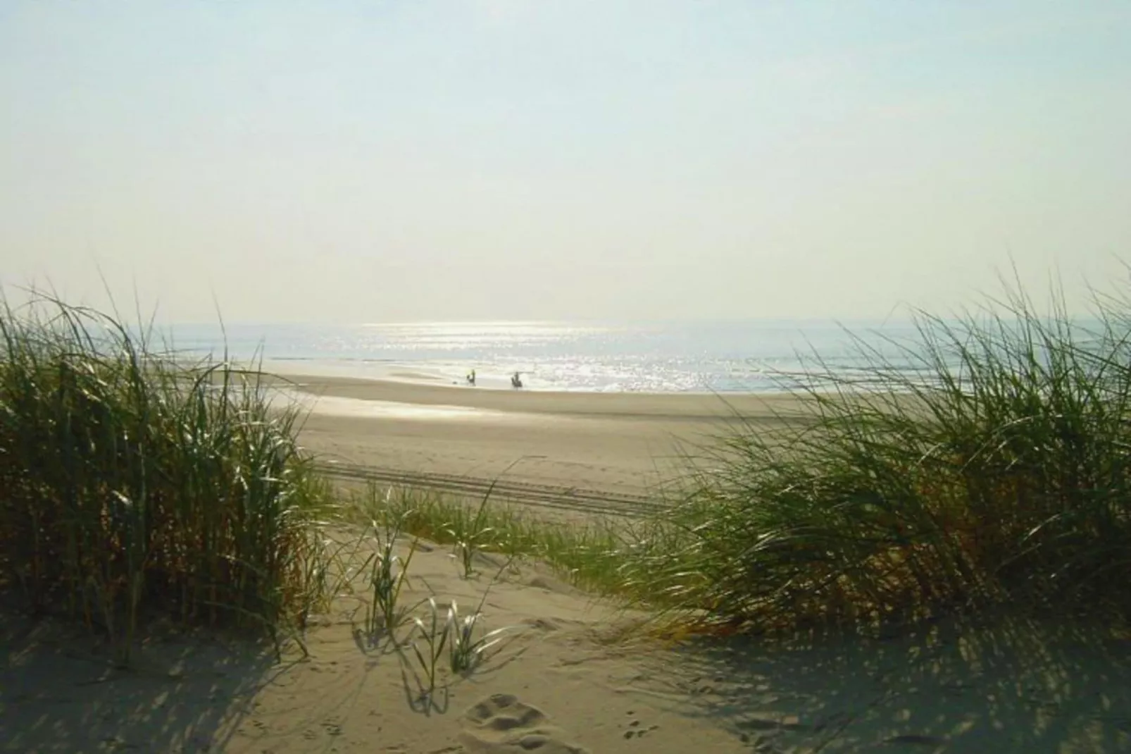 De ZeeParel Sea Crab-View summer