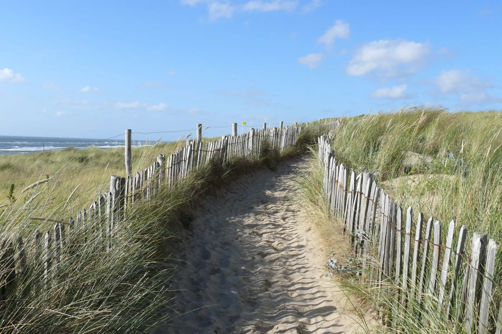 De ZeeParel Sea Crab-Areas summer 1km