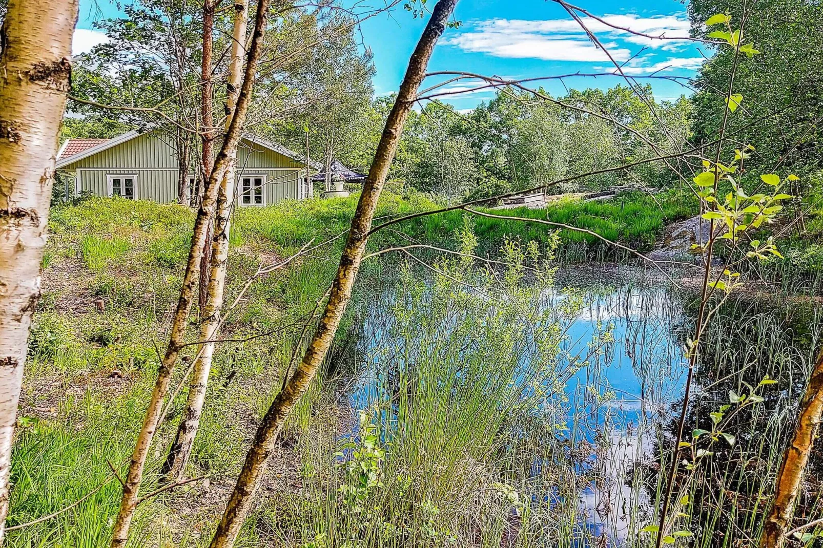 8 person holiday home in ELLÖS