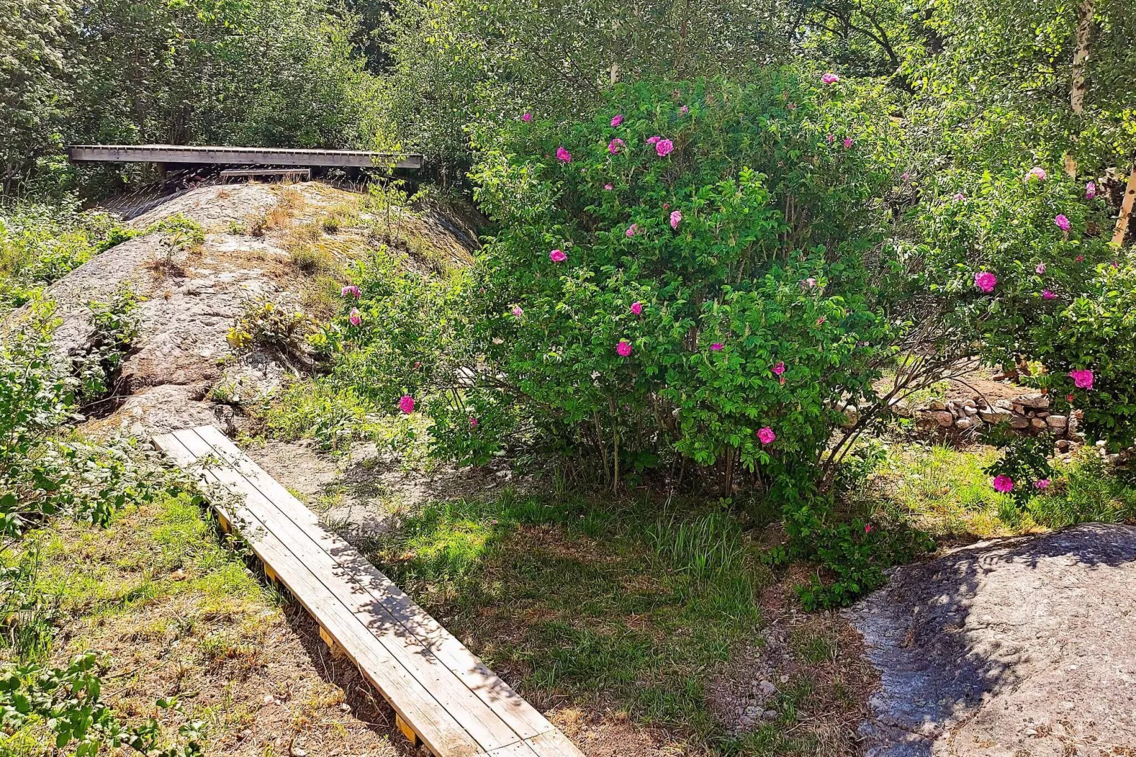 8 person holiday home in ELLÖS-View