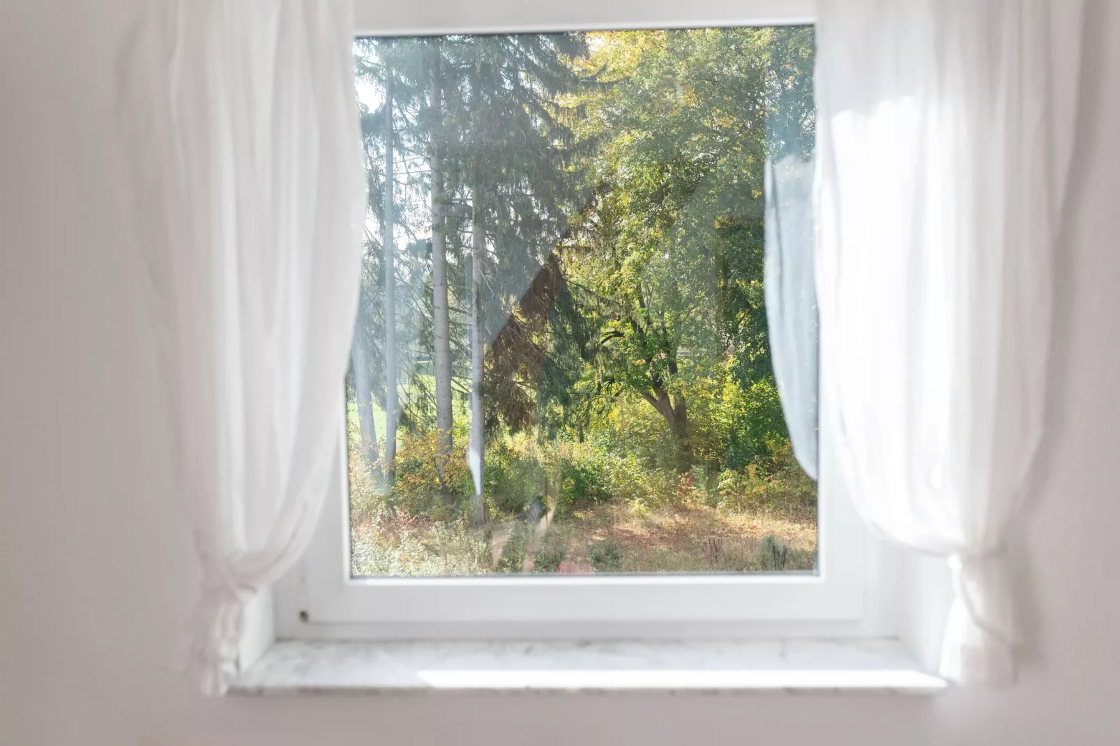 Park Blick-Aussicht Sommer