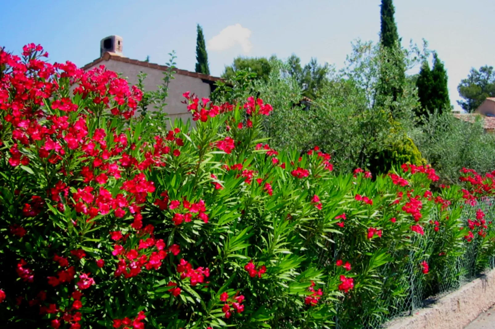 Villa Cigalières-Atmosphere