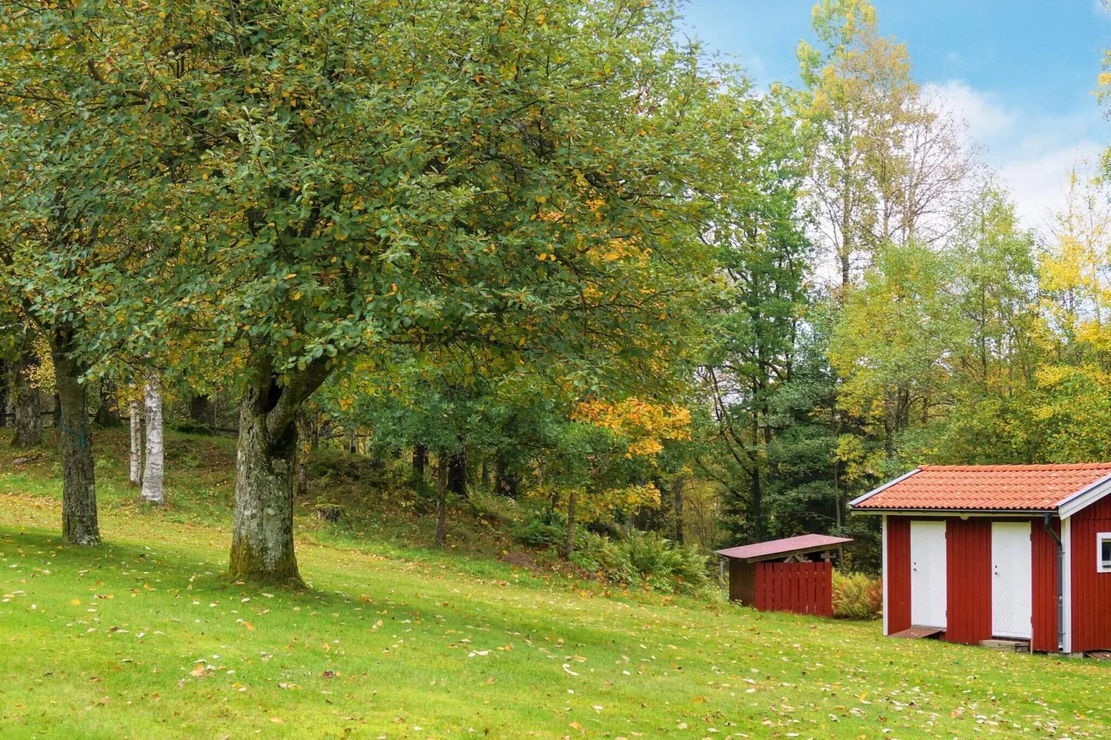 6 person holiday home in APLARED-By Traum-Outdoor