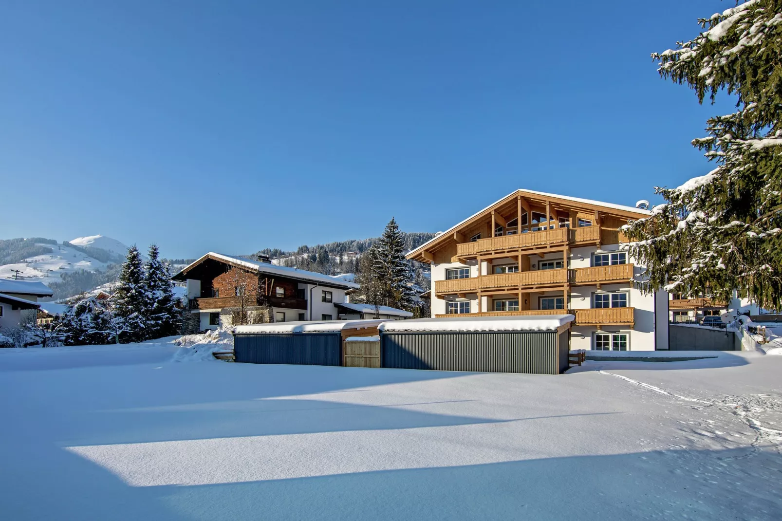 Residenz Edelalm - Top 5-Außenbereich Winter