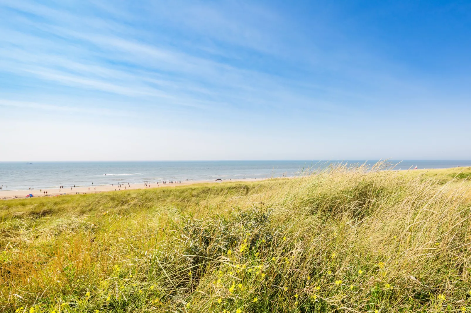 Residentie de Graaf van Egmont 9-Areas summer 1km