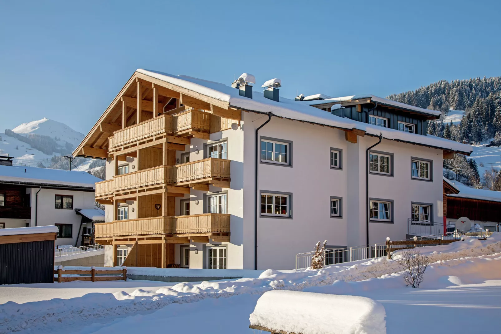 Residenz Edelalm - Top 5-Außenbereich Winter