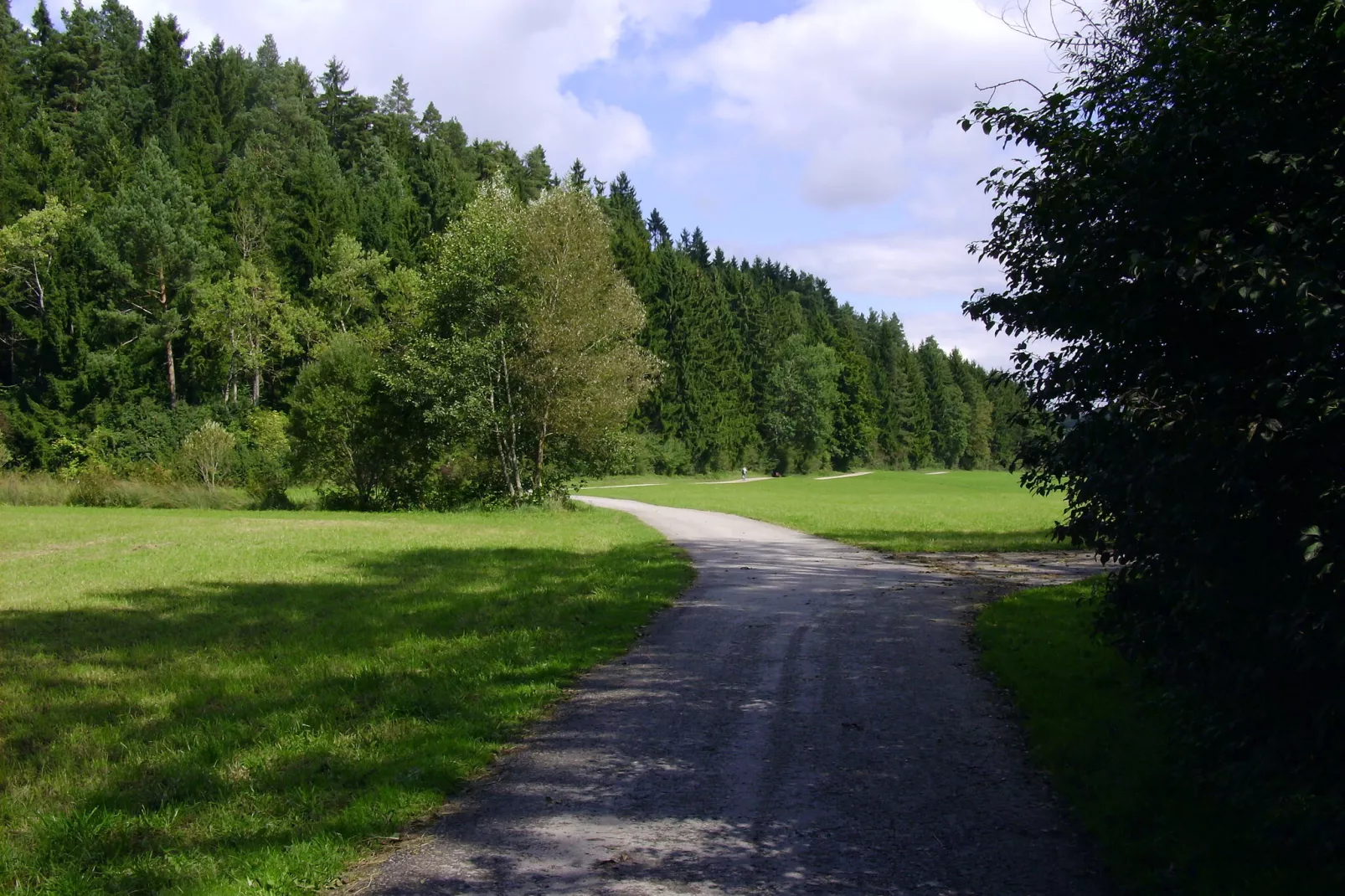 Niedereschach-Areas summer 5km