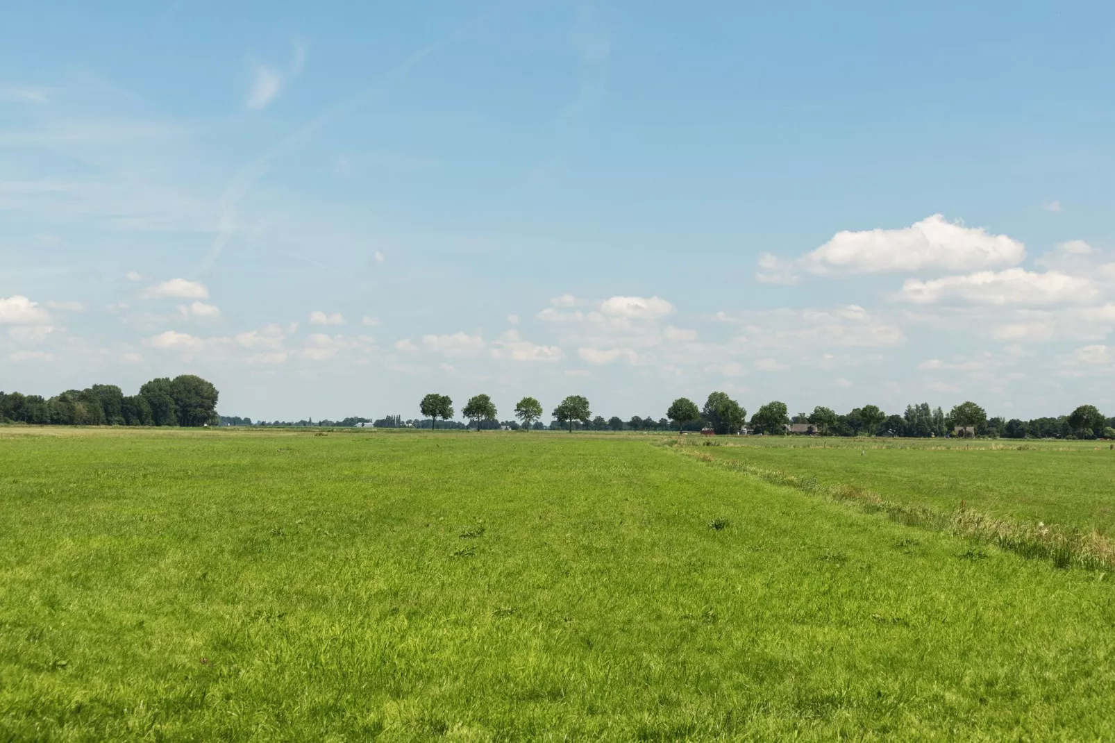 Chalet Veluwemeer-Areas summer 1km