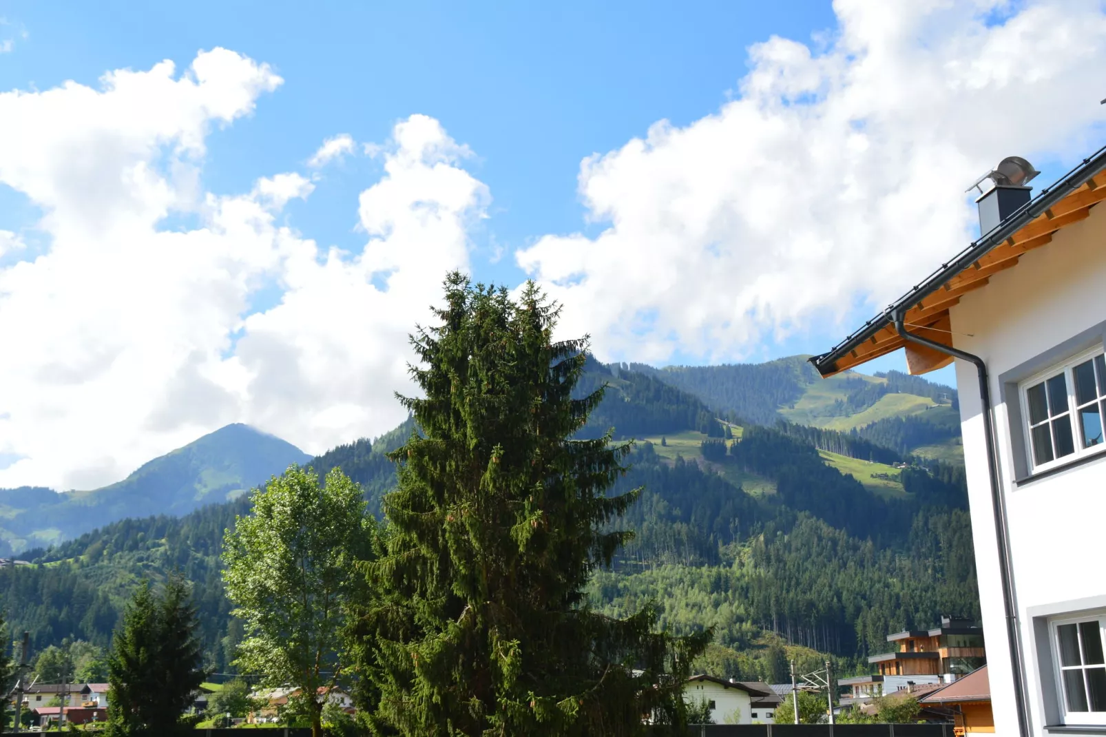 Residenz Edelalm - Top 5-Aussicht Sommer