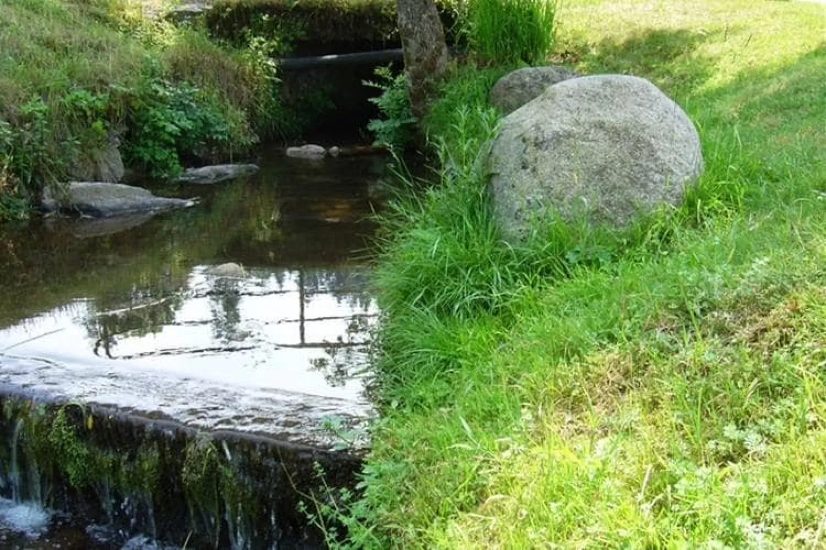 Kirchenbauer-Areas summer 1km