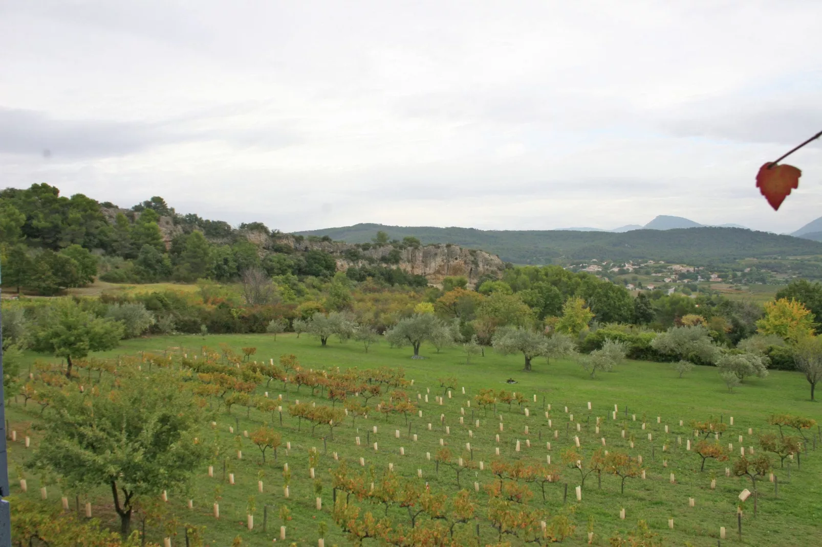 Grande Maison-View summer