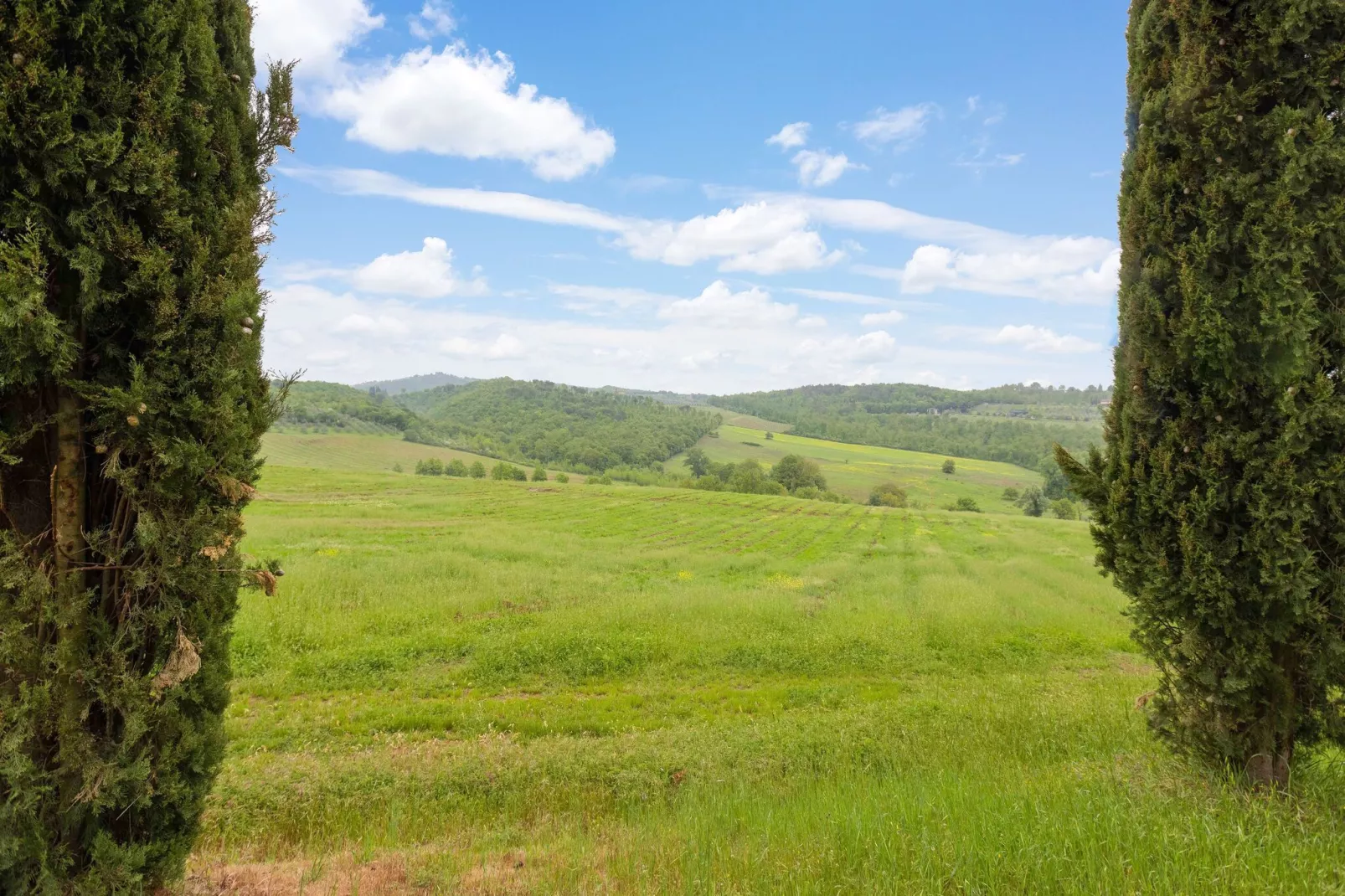 Il Querceto Prima-Gebiete Sommer 5 km