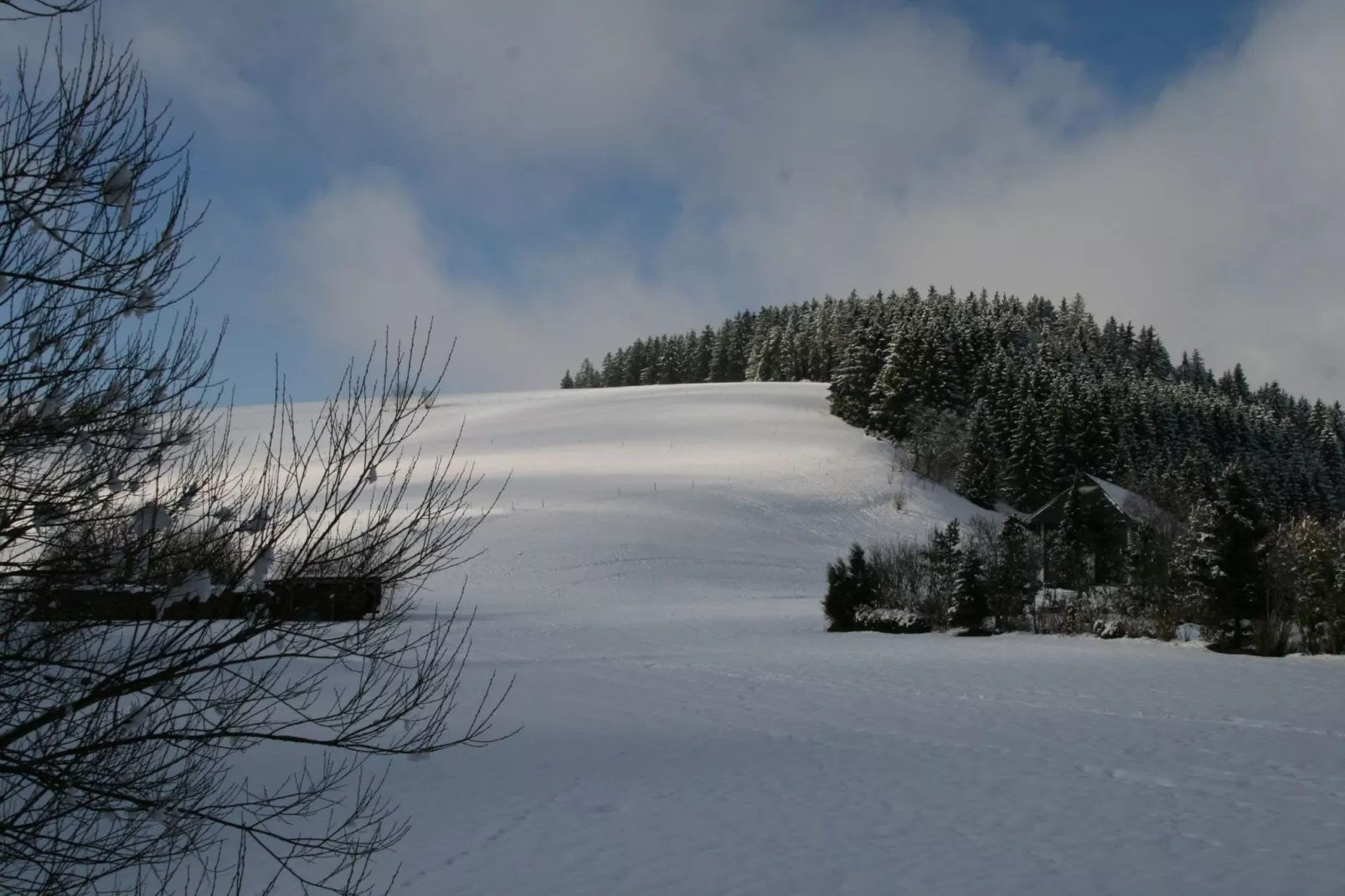 Alte Mühle-Gebiet Winter 5 km
