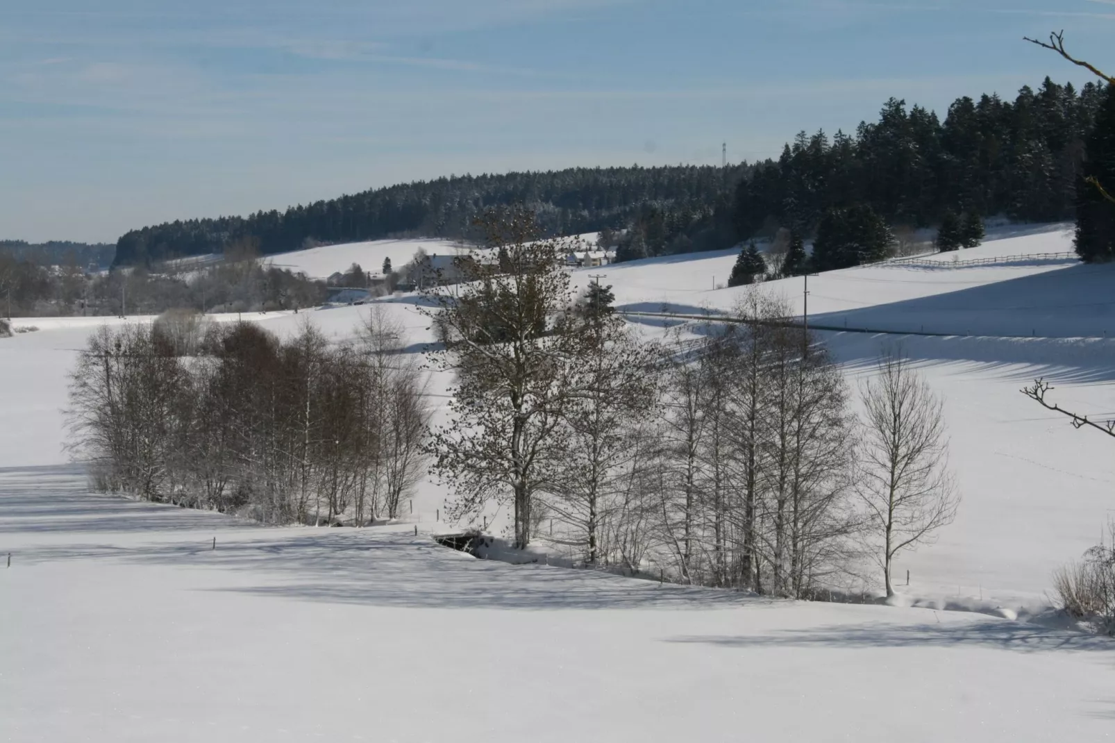 Alte Mühle-Gebiet Winter 5 km