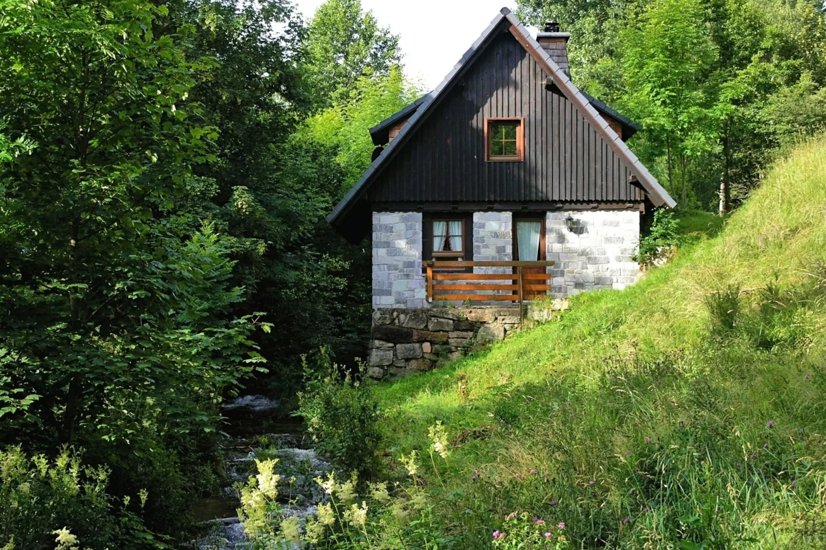 Alte Mühle-Außenbereich Sommer
