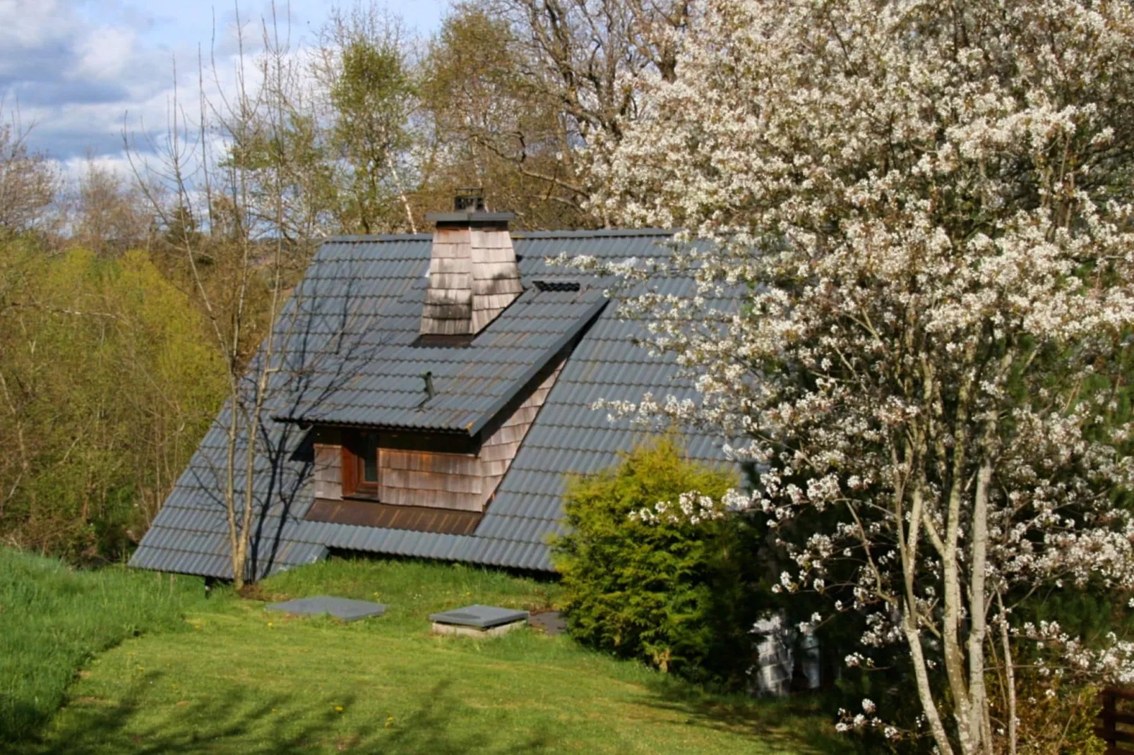 Alte Mühle-Außenbereich Sommer