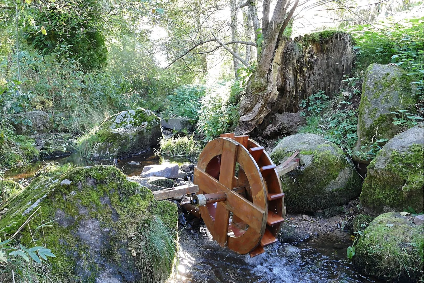 Alte Mühle-Garten Sommer