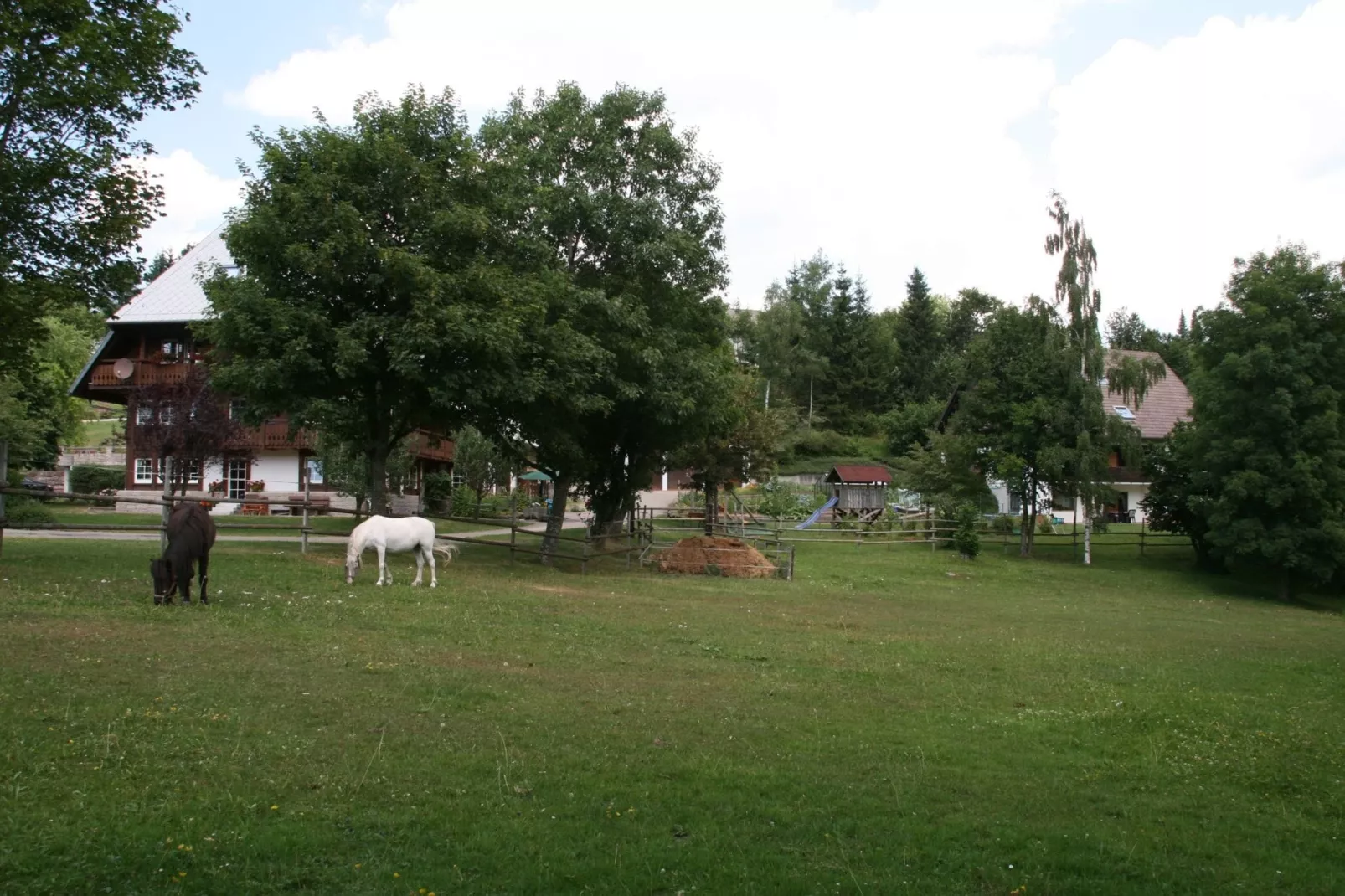 Alte Mühle-Gebiete Sommer 1 km