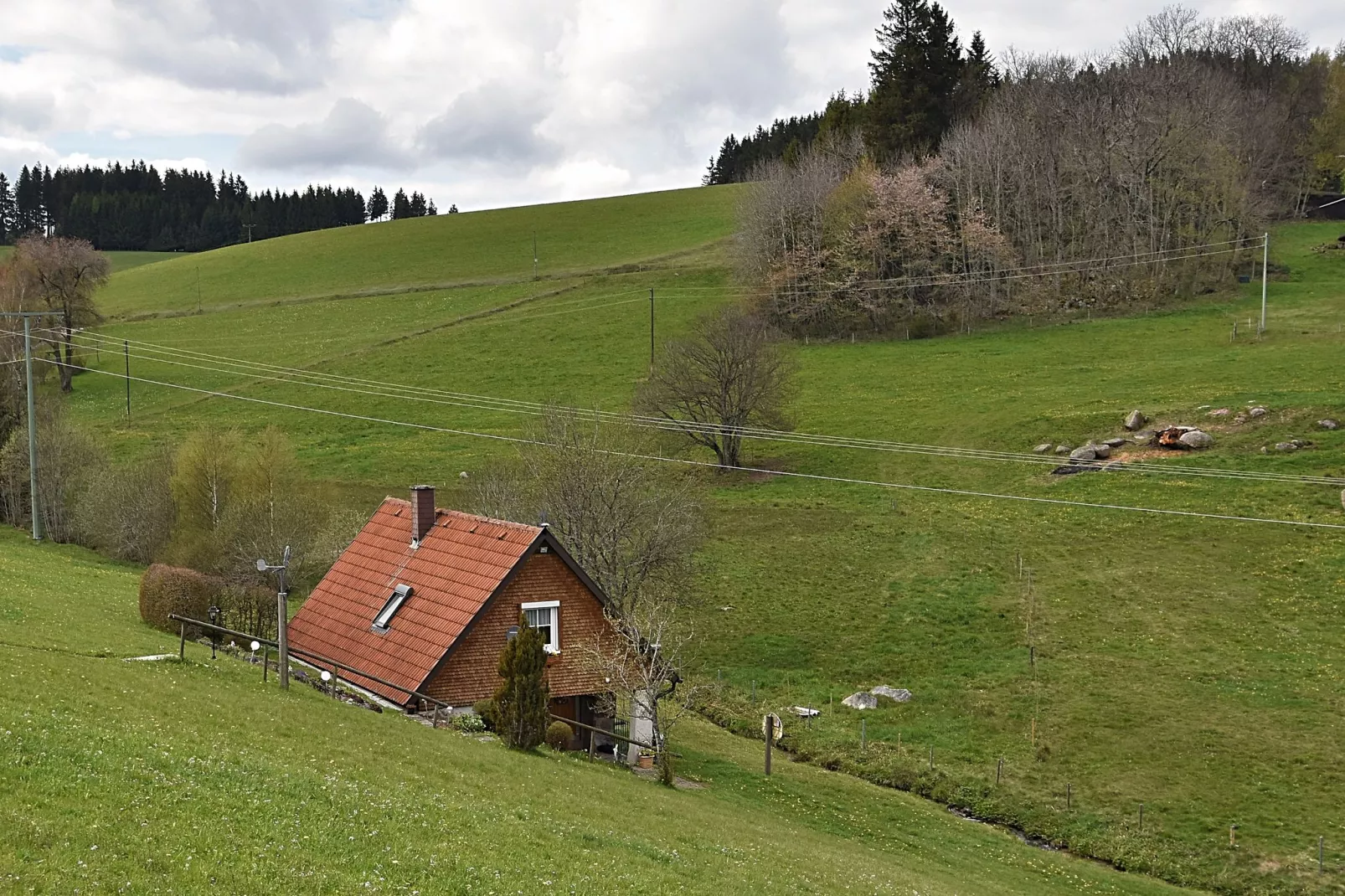 Schwarzwald-Außenbereich Sommer