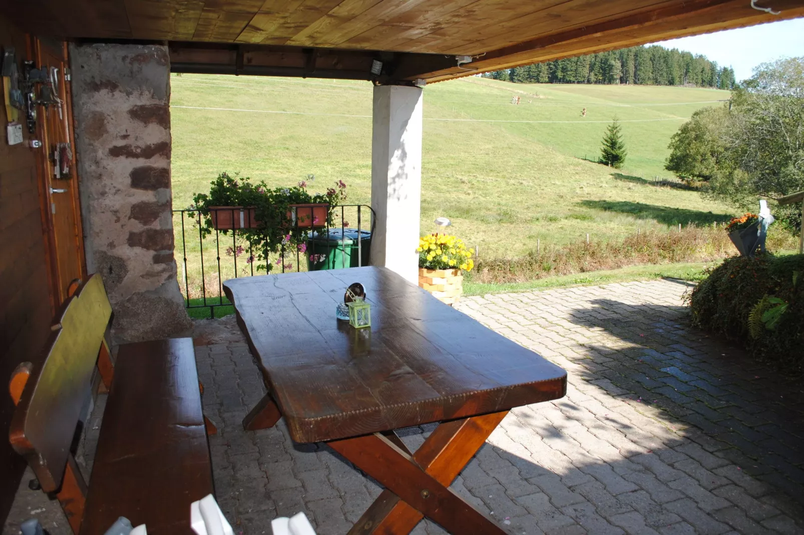 Schwarzwald-Aussicht Sommer