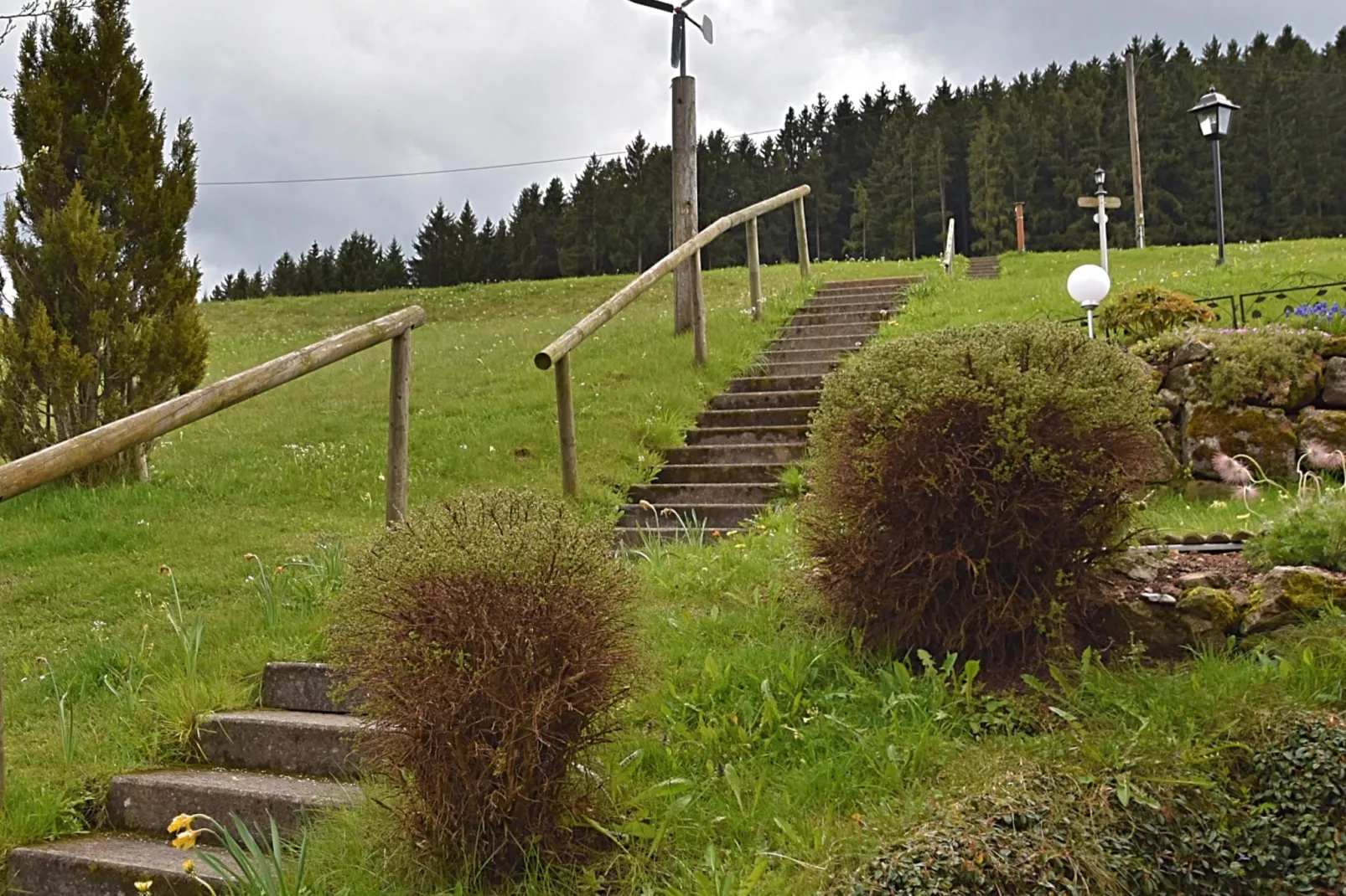 Schwarzwald-Garten Sommer
