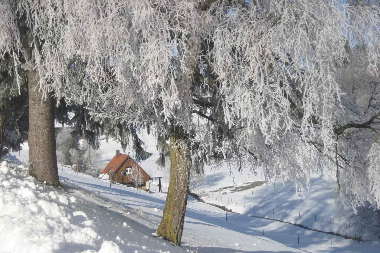 Schwarzwald-Außenbereich Winter