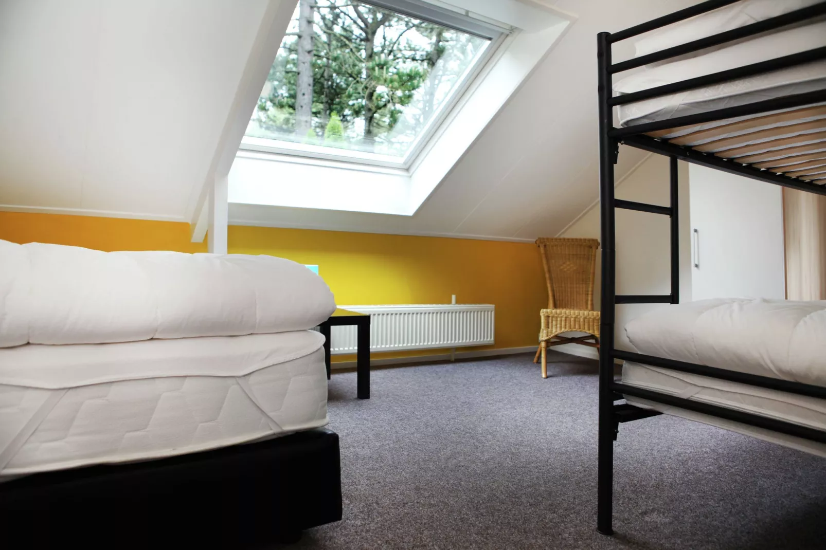 De grove Den-Chambre