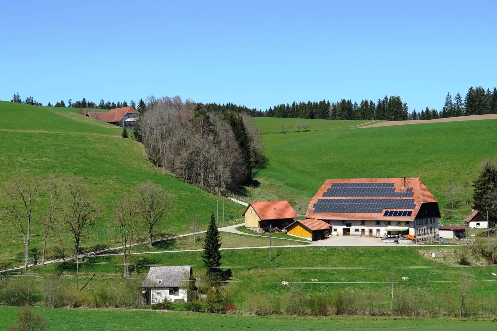 Brigachmühle-Gebiete Sommer 1 km