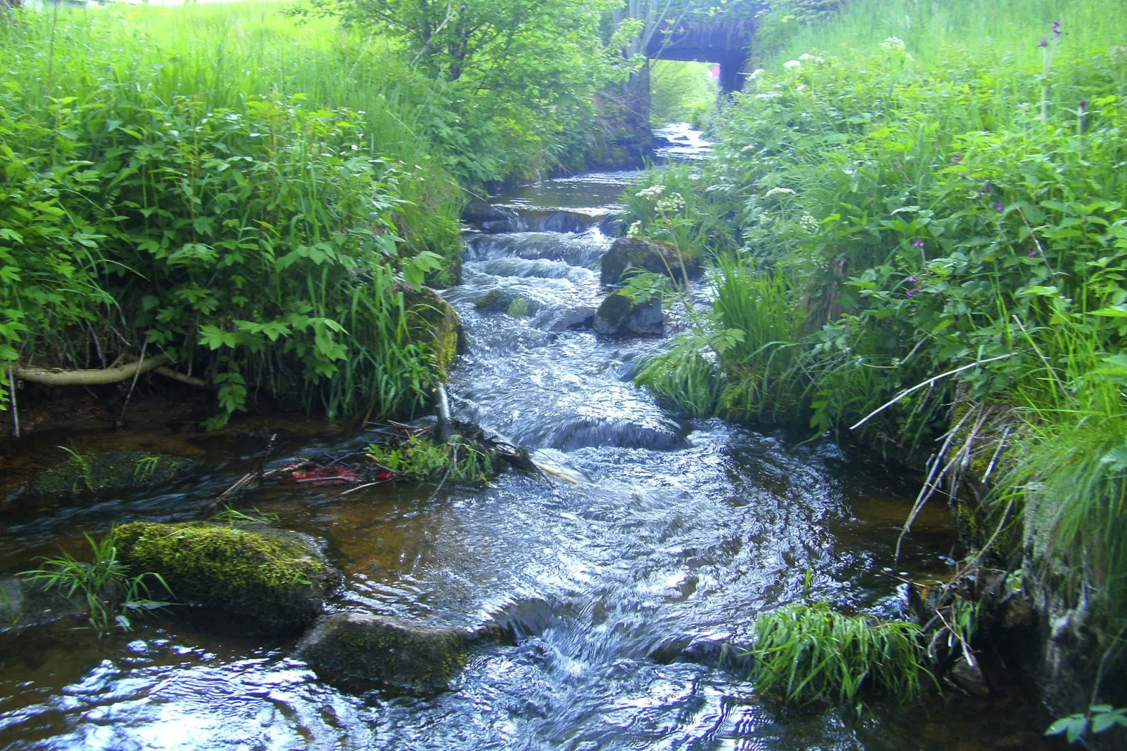 Brigachmühle-Gebiete Sommer 1 km