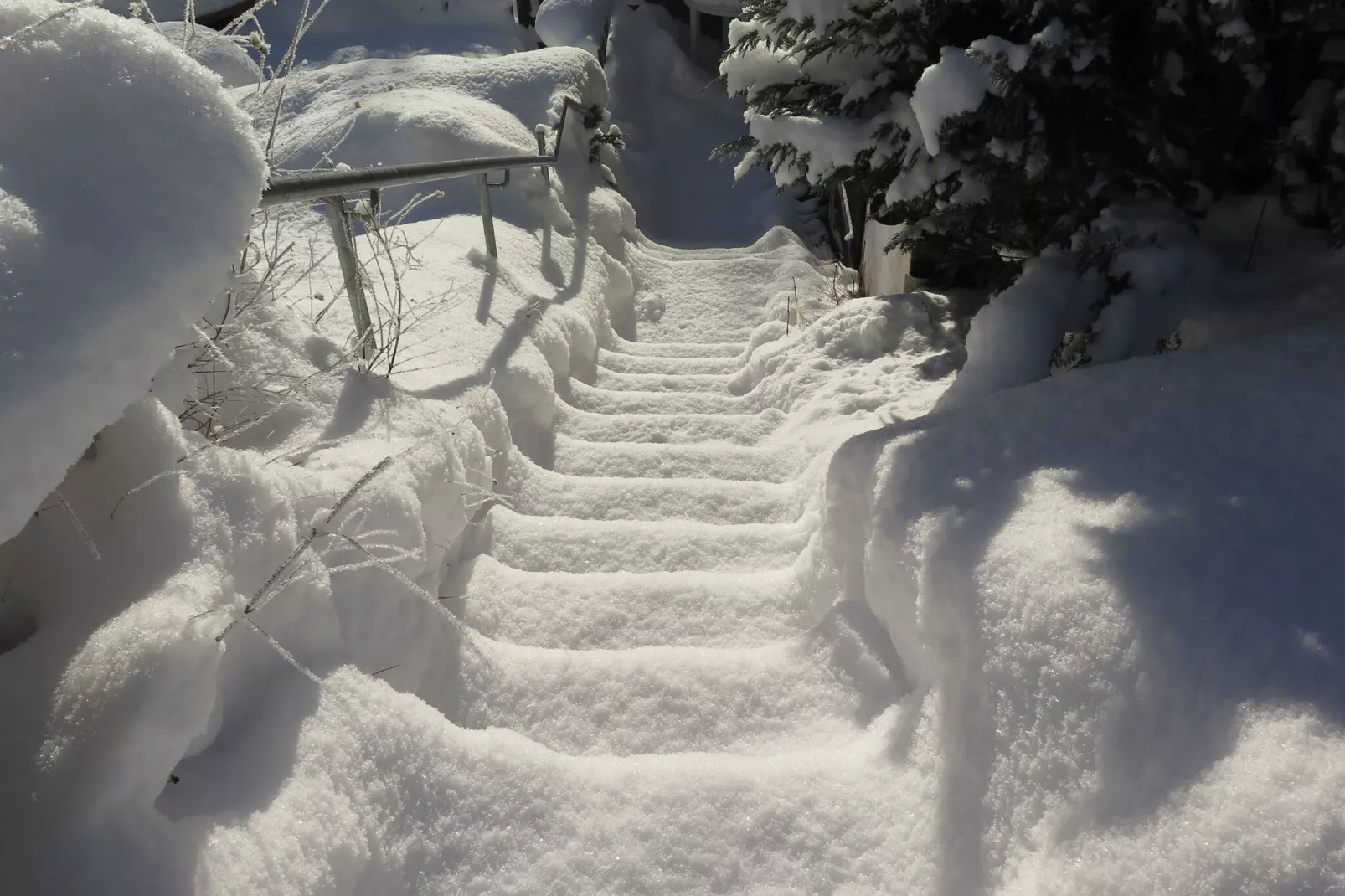 Brigachmühle-Aussicht Winter
