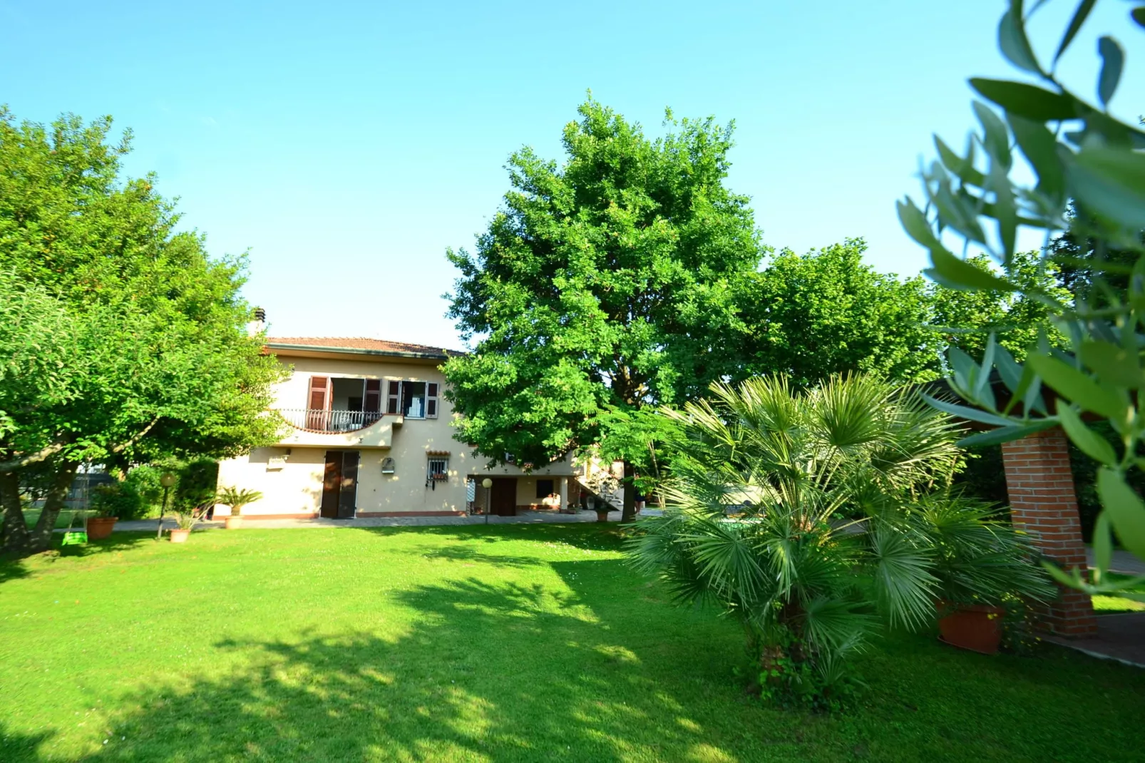Serena-Exterior summer