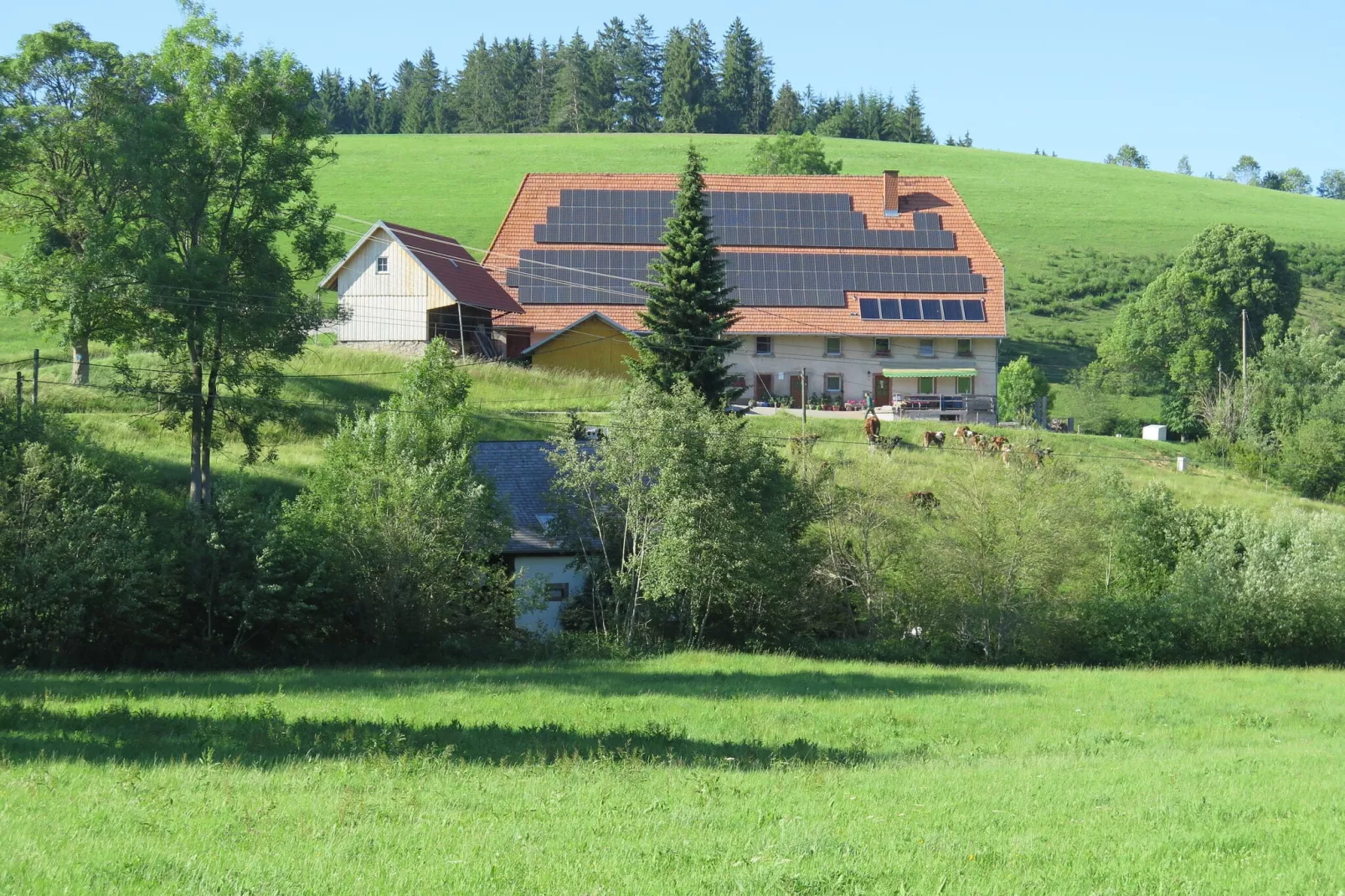 Brigachmühle-Außenbereich Sommer