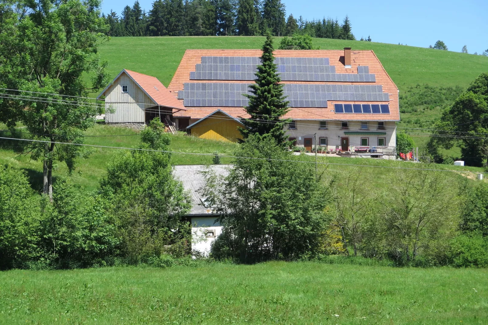 Brigachmühle-Außenbereich Sommer
