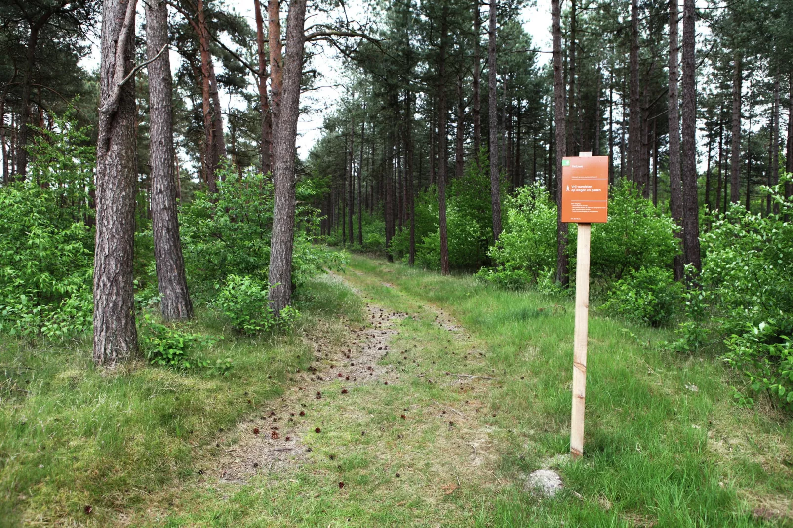 De grove Den-Zones d'été à 5 km