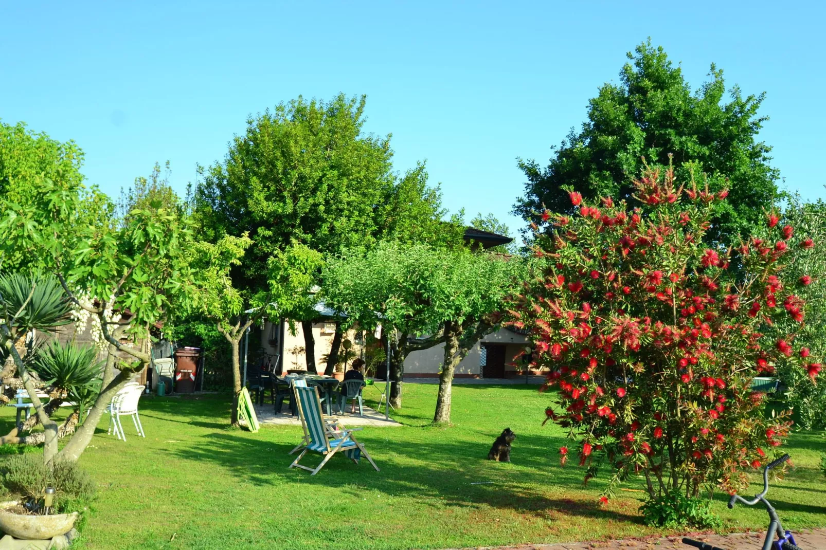 Serena-Gardens summer