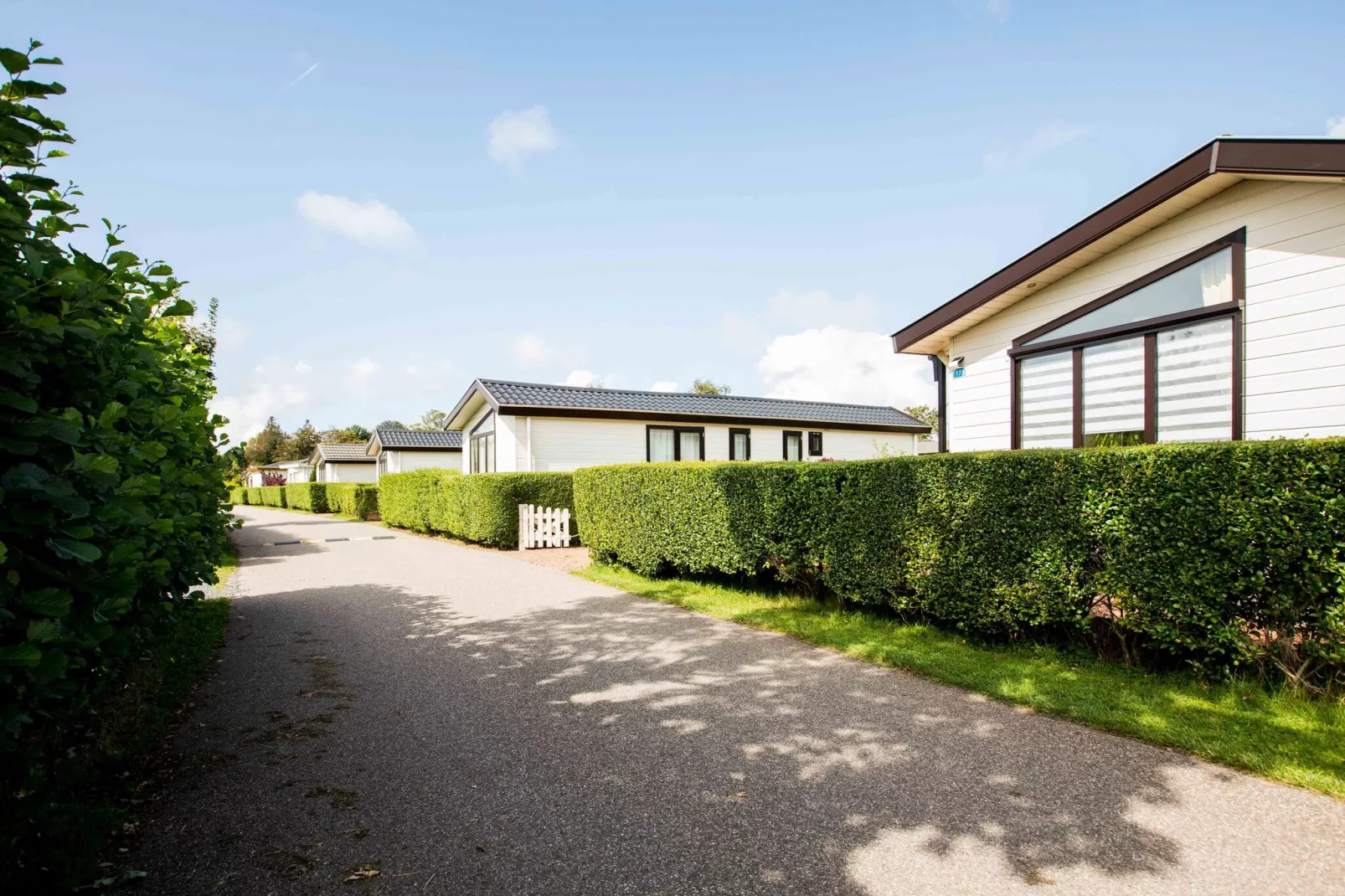 Resort De Woudhoeve 2-Exterior summer