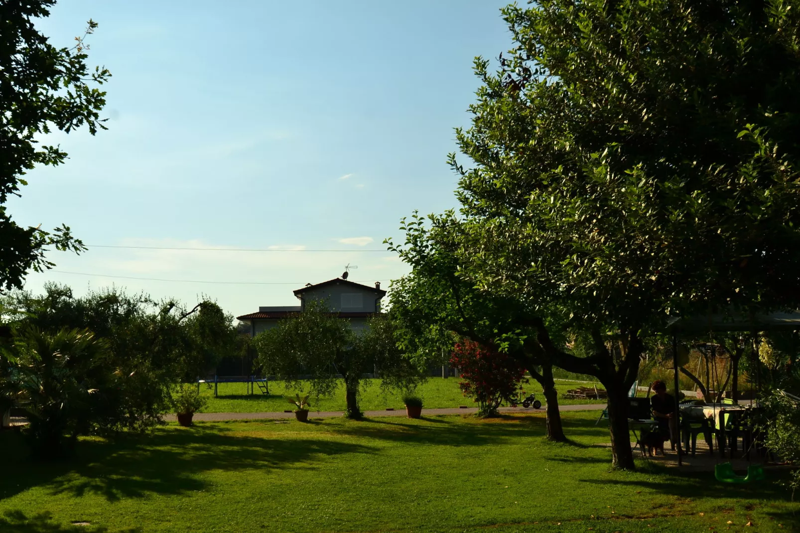 Serena-Areas summer 1km