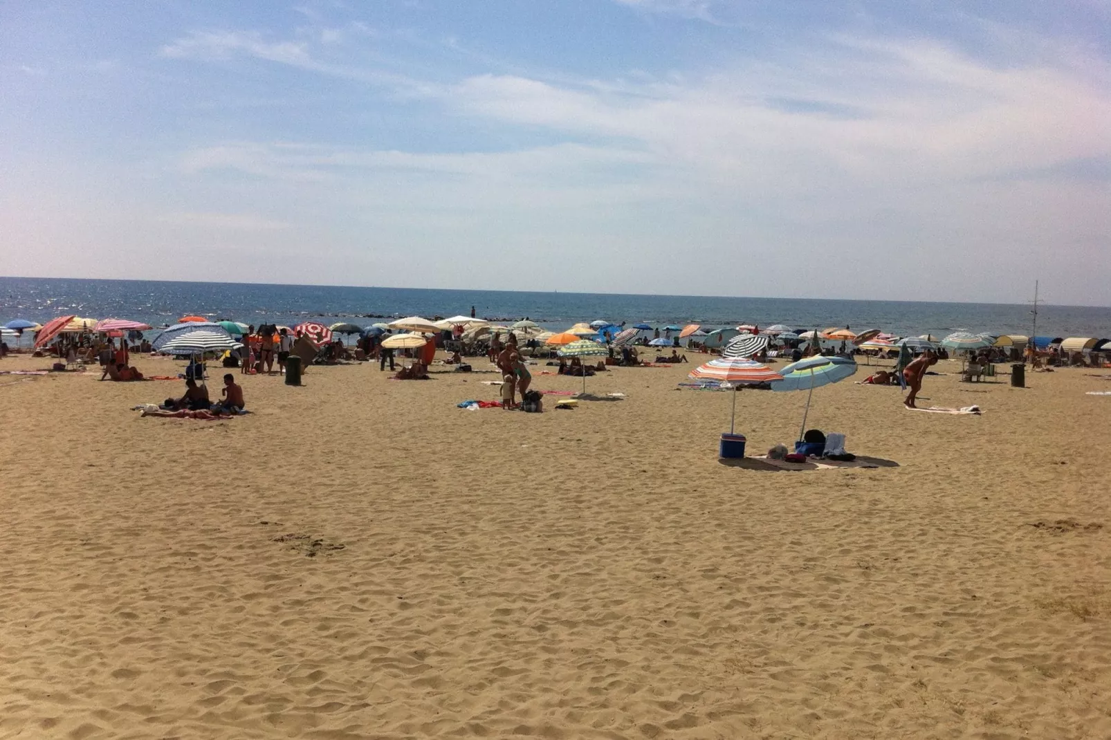 Serena-Areas summer 5km
