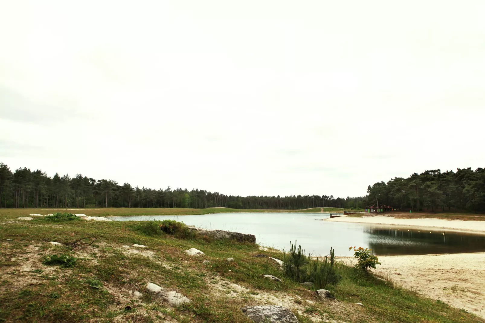 De grove den-Gebiete Sommer 1 km