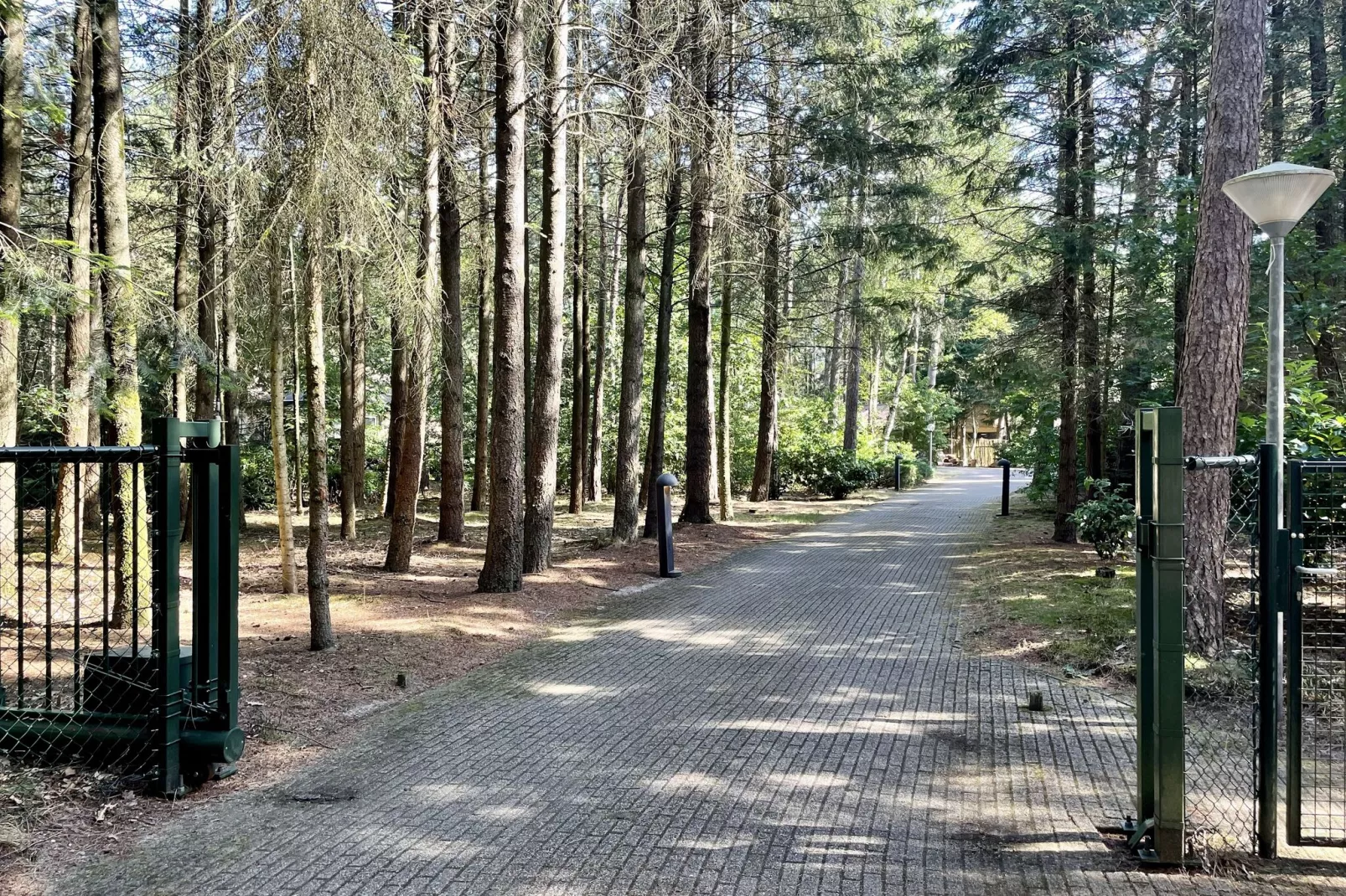 De grove den-Empfangshalle