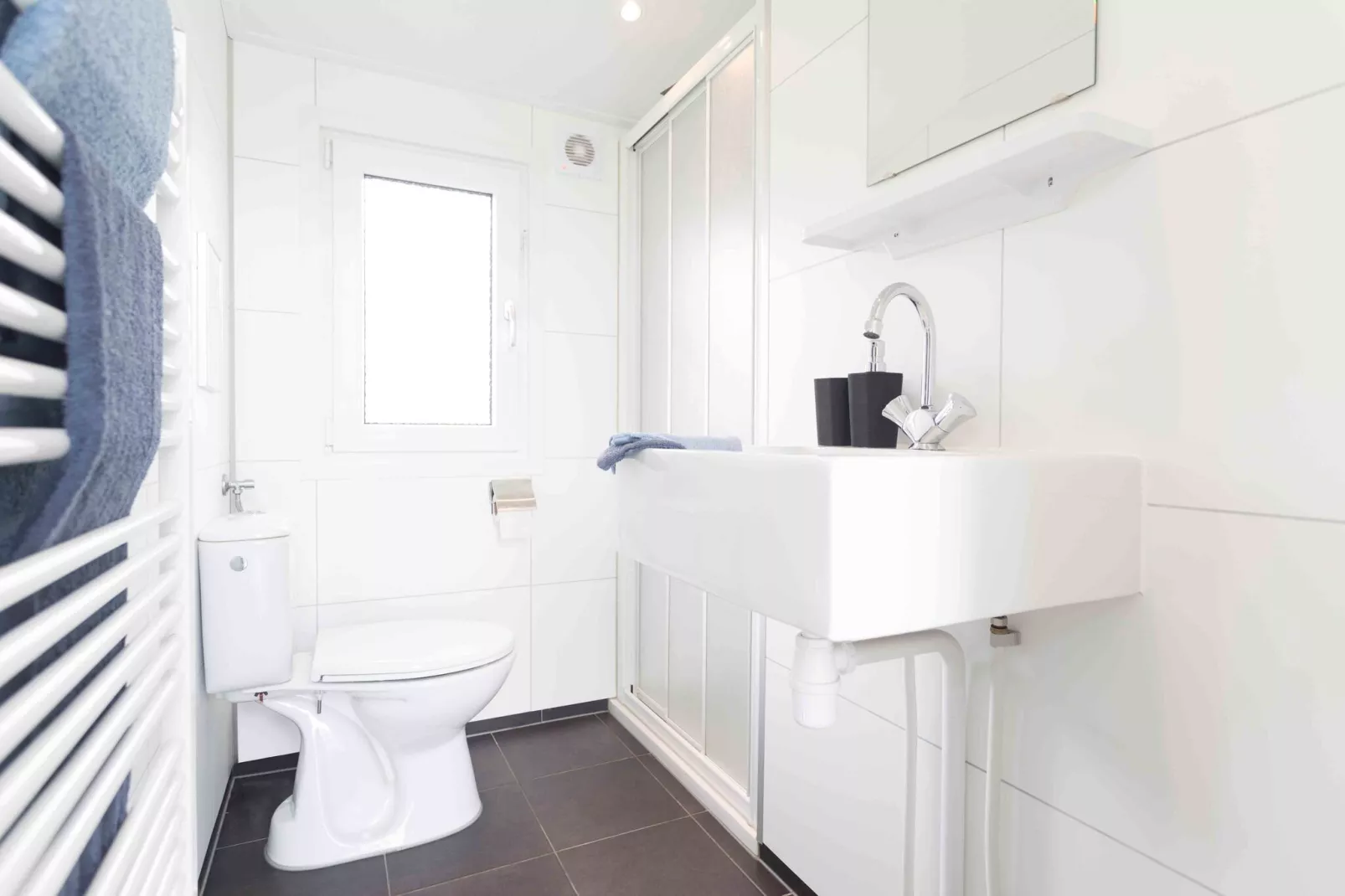 Resort De Woudhoeve 3-Bathroom