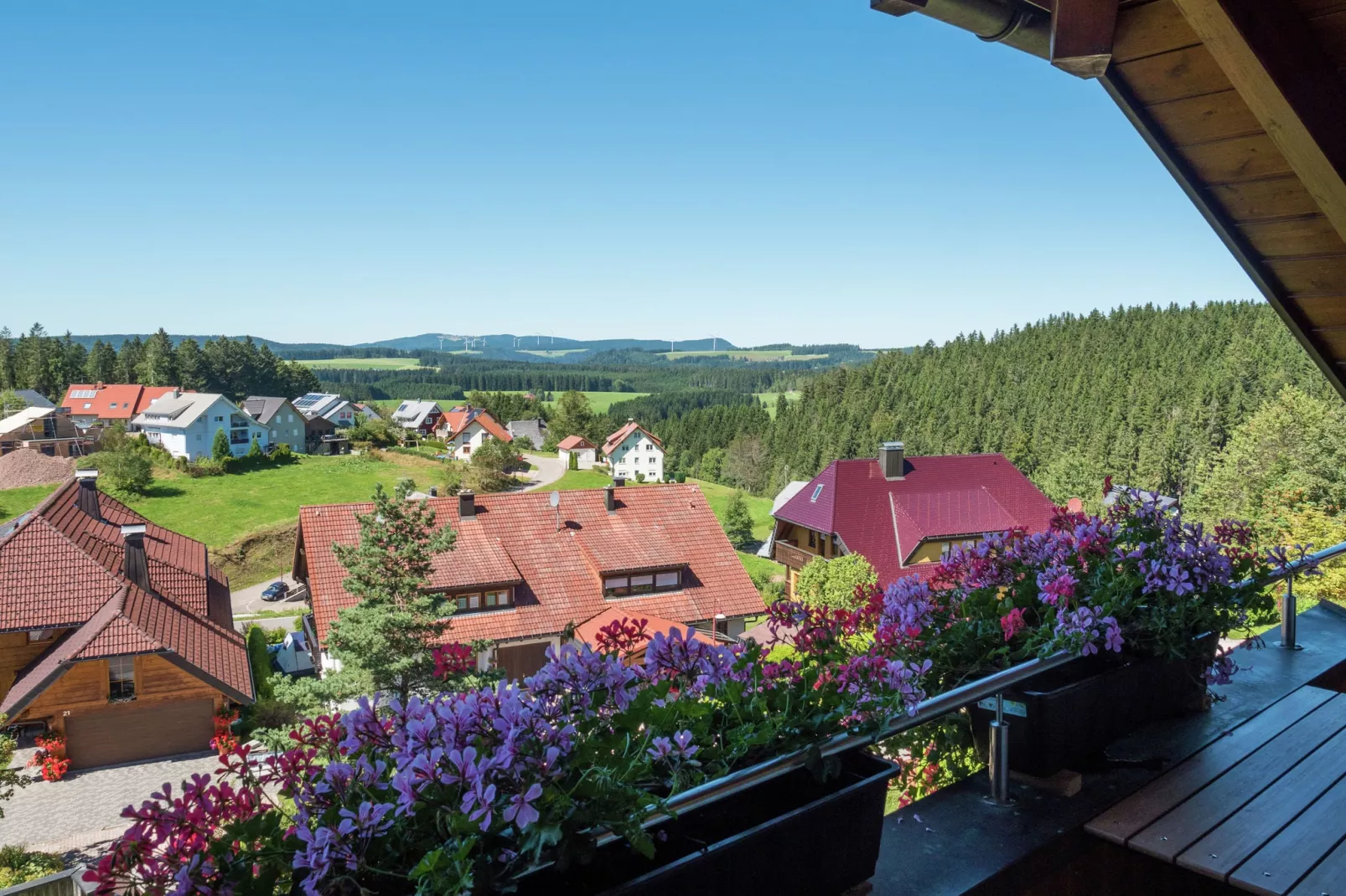Neukirch-Aussicht Sommer