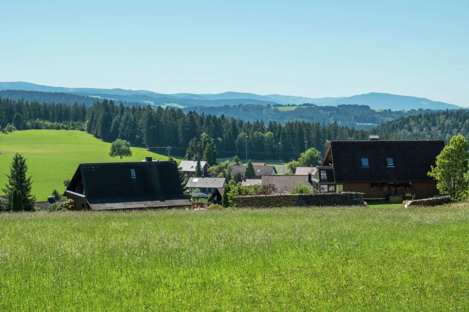 Neukirch-Aussicht Sommer