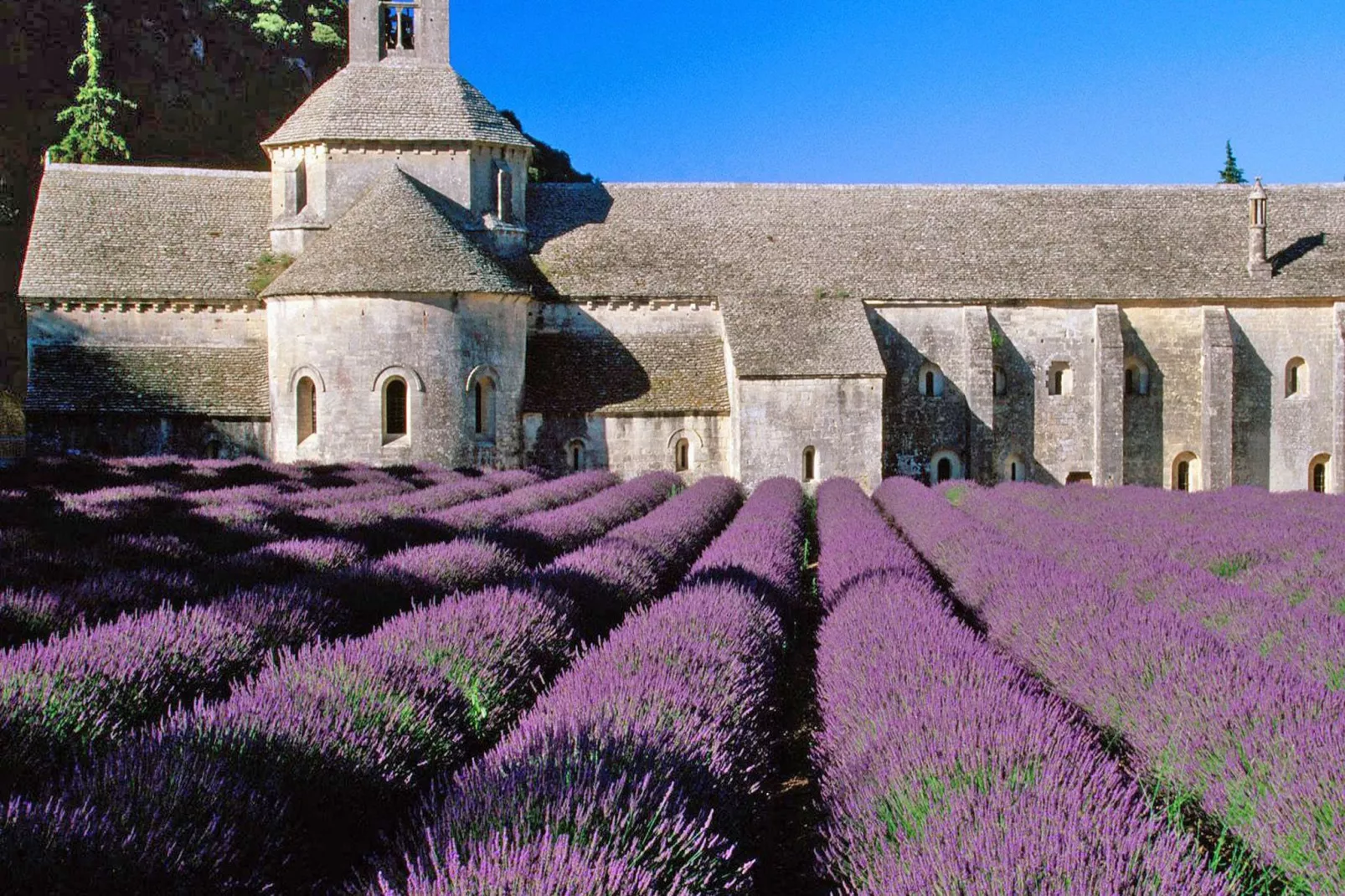 La Colline de Reves plus 3 gites-Areas summer 5km