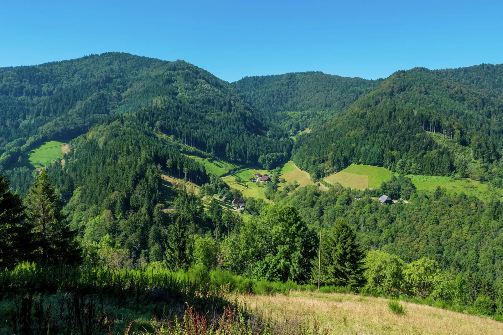 Gütenbach-Areas summer 1km