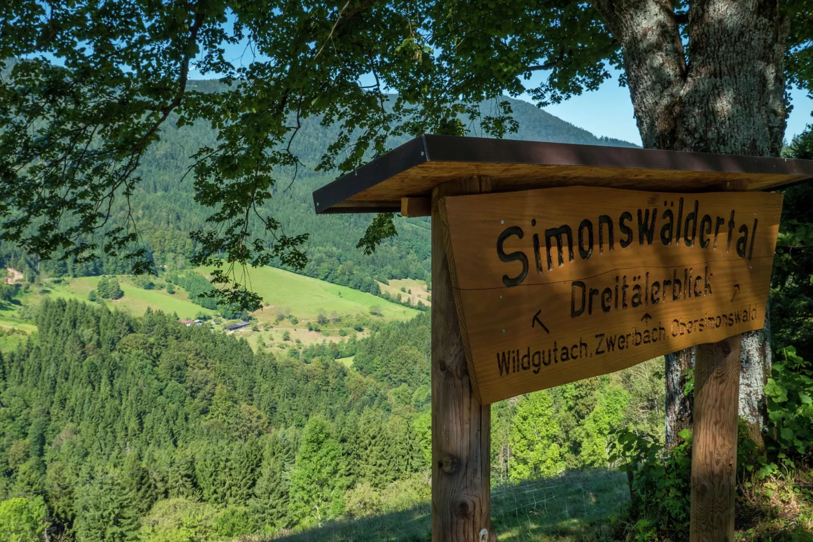 Gütenbach-Areas summer 5km