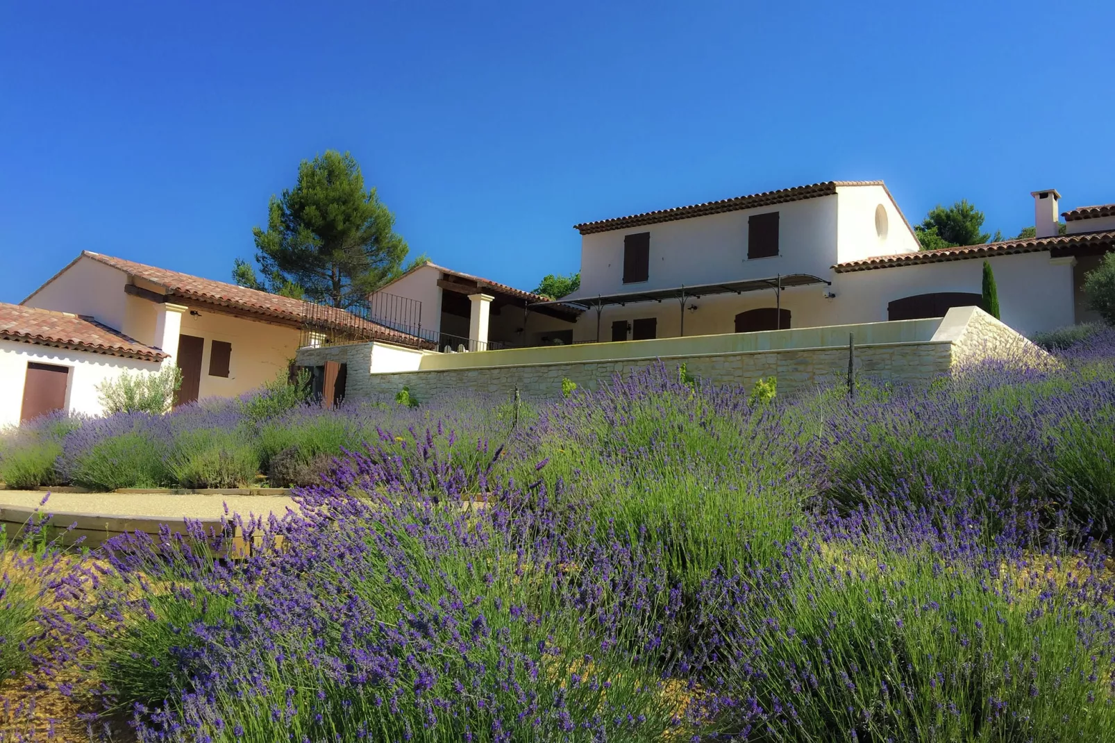Colline de Rêve kamer 2 t/m 4-Gardens summer