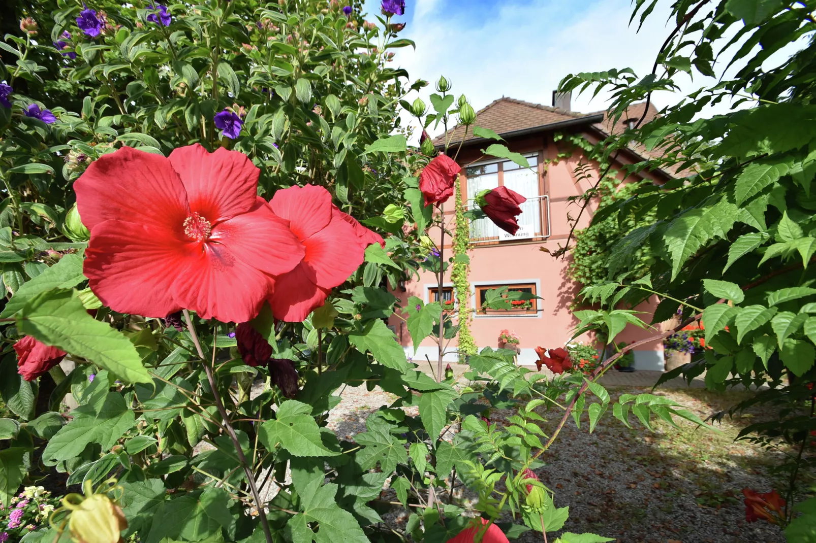 Im Rheintal-Exterior summer