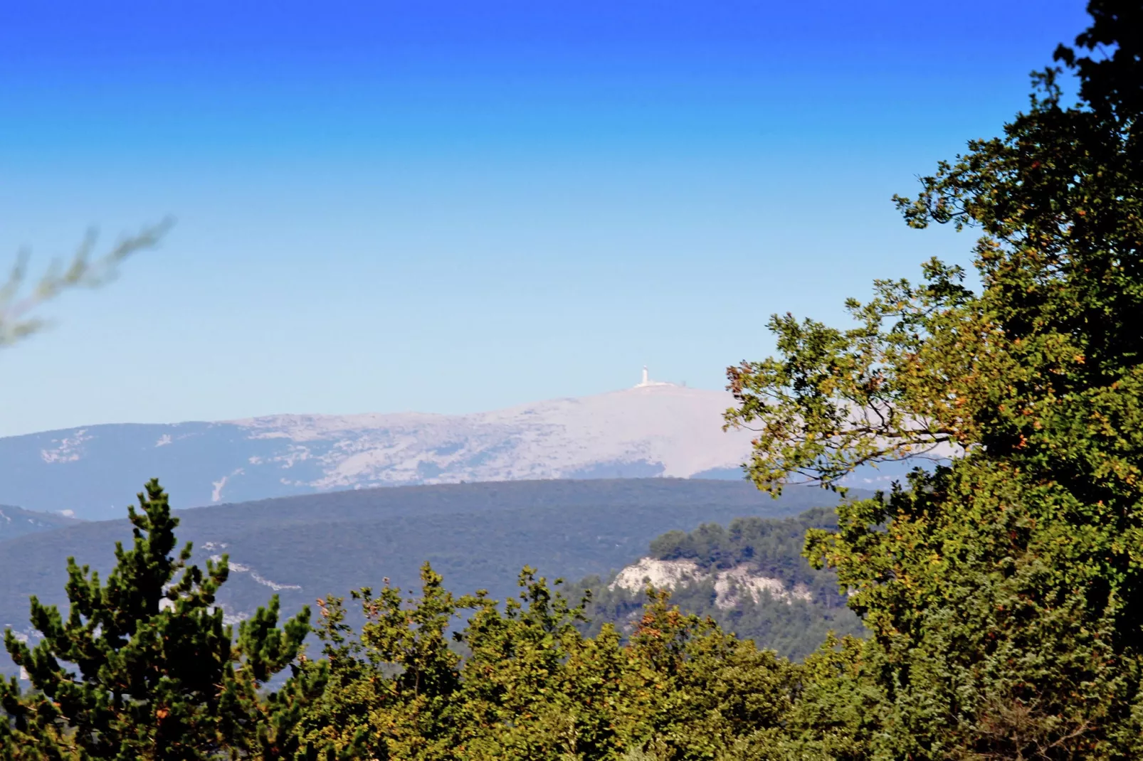 La Petite Colline-View summer