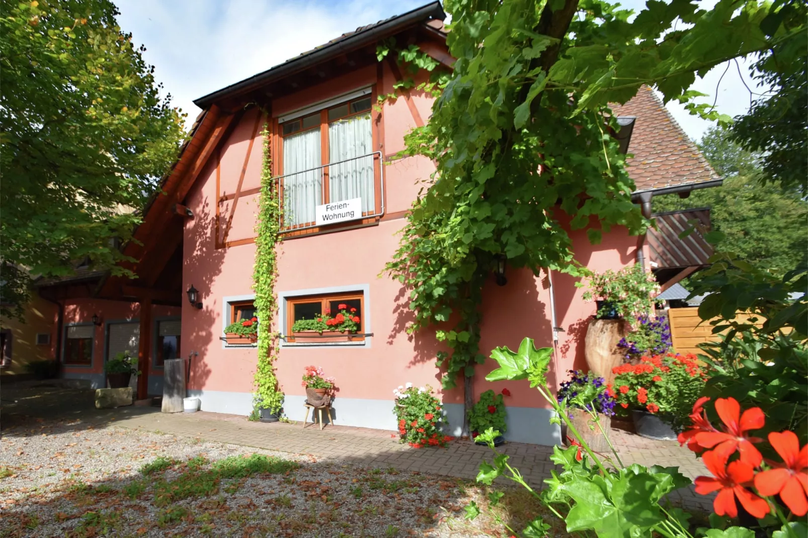Im Rheintal-Exterior summer